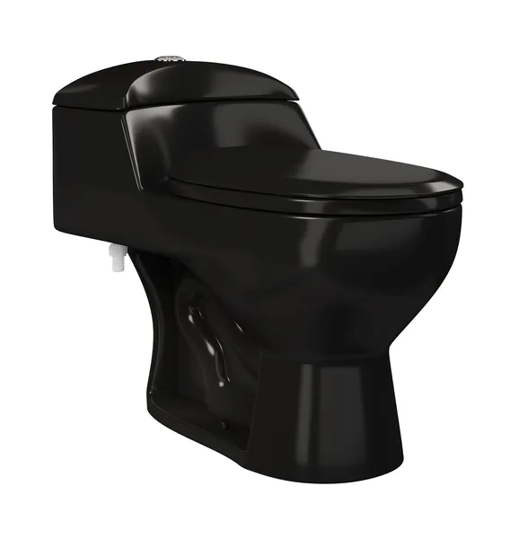Chateau One-Piece Elongated Toilet Dual-Flush, Glossy Black 1.1/1.6 gpf