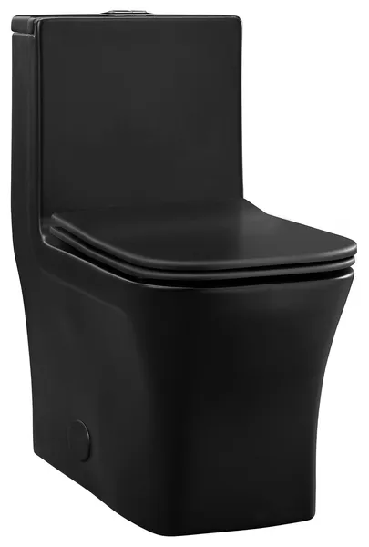 Concorde One-Piece Square Toilet Dual-Flush in Matte Black 1.1/1.6 gpf