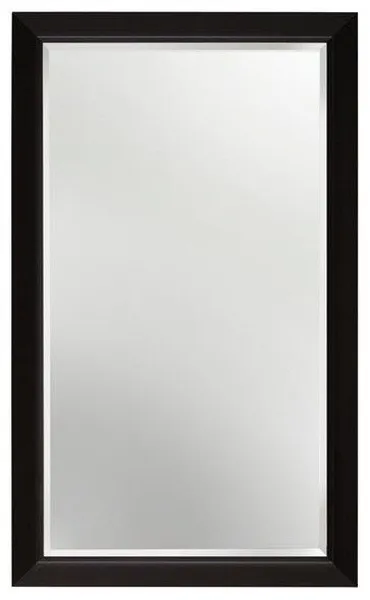 Contemporary Cabinet Mirror, ALNMC40244-BRZ