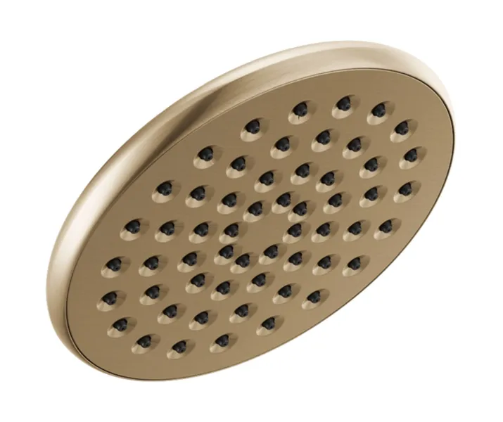 Delta 52433-CZ Components Single-Setting Raincan Shower Head