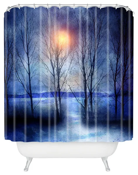 Deny Designs Viviana Gonzalez Winter Sonata Shower Curtain