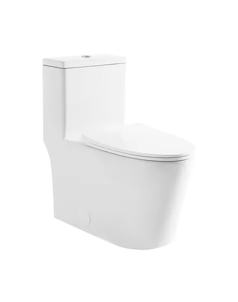 Dreux High Efficiency One Piece Toilet, 0.8 GPF