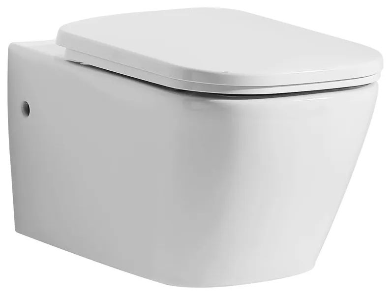 Eago WD390 1.1 / 1.6 Dual Flush Wall Mounted One Piece Elongated - White