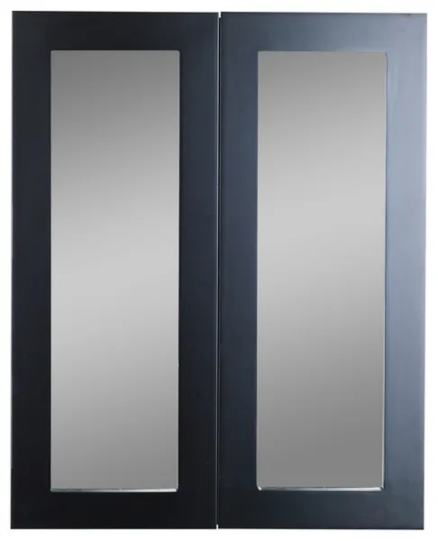 Eviva Tux 24" Wall Mount Medicine Cabinet, Espresso