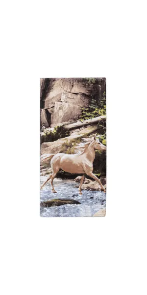 Horse Canyon Bath Towel
