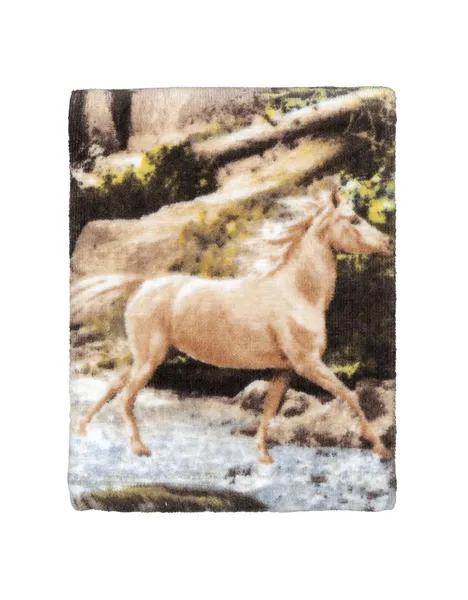 Horse Canyon Wash Cloth