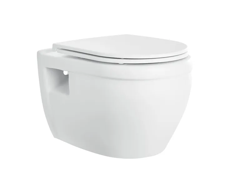 Ivy Wall-Hung Elongated Toilet Bowl in Matte White