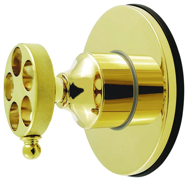 Kingston Brass KS403.RKZ Wendell Single Handle 6 Function - Polished Brass