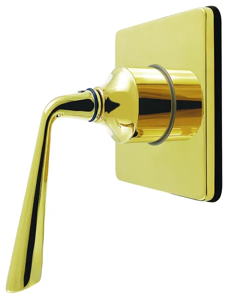 Kingston Brass KS404.ZL Silver Sage Single Handle 6 Function - Polished Brass