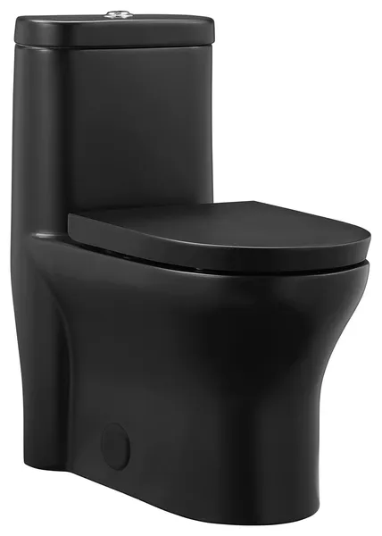 Monaco One-Piece Elongated Toilet Dual-Flush, Matte Black 1.1/1.6 gpf