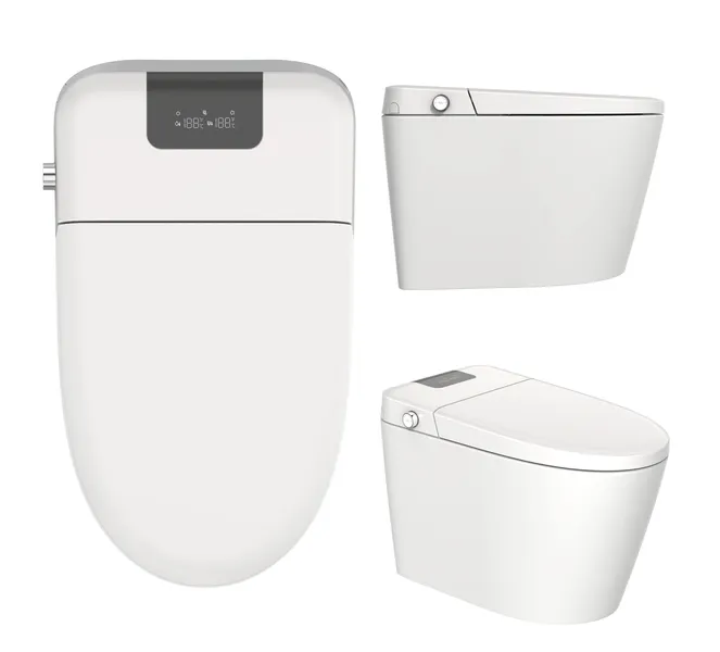 Smart Elongated Bidet Toilet with Remote, Auto Flush & Nightlight