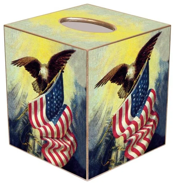 TB196-Eagle with American Flag Tissue Box Cover
